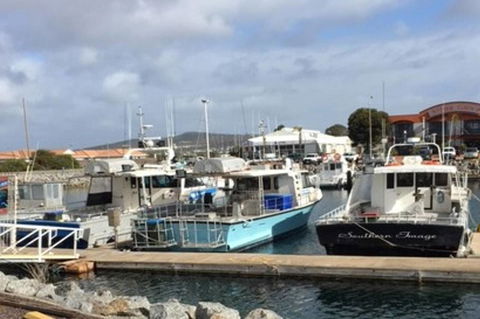 Port Lincoln Shark Apartment 2 - Tweed Heads Accommodation 17