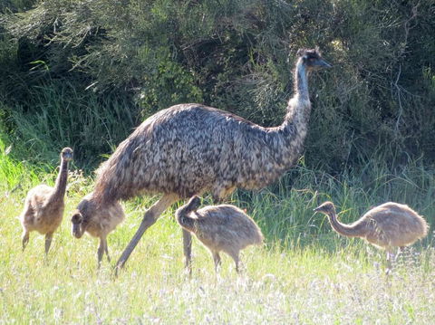 Edge Of Innes - Tweed Heads Accommodation 13