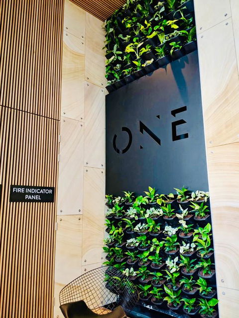 ONE Adelaide CBD - Tweed Heads Accommodation 5