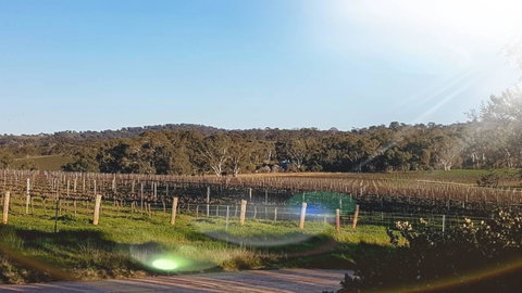 D2 At Watervale - Tweed Heads Accommodation 23