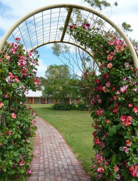 Coonawarra Place Motor Inn - Tweed Heads Accommodation 20