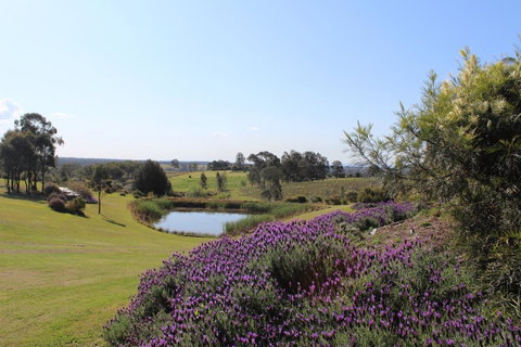 Beltana Villas - Tweed Heads Accommodation 7
