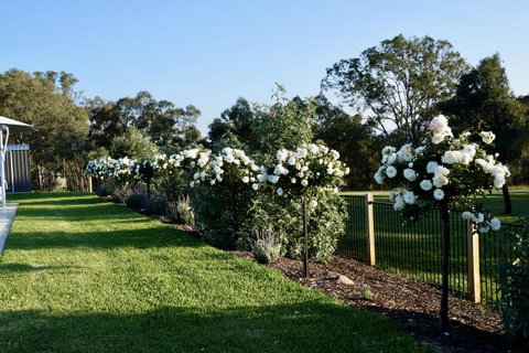 Beltana Villas - Tweed Heads Accommodation 2