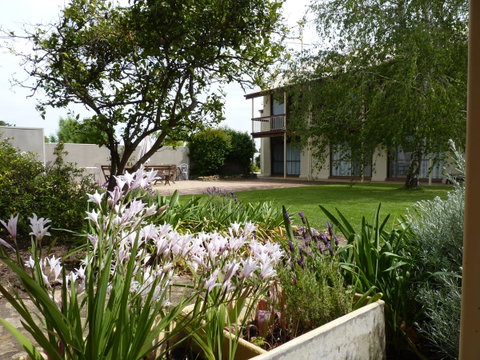Coonawarra Motor Lodge - Tweed Heads Accommodation 0