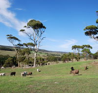 Lisieux Farm Bed and Breakfast - Tweed Heads Accommodation