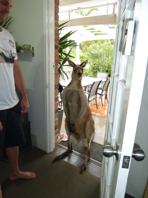 Aston Motel Yamba - Tweed Heads Accommodation 10