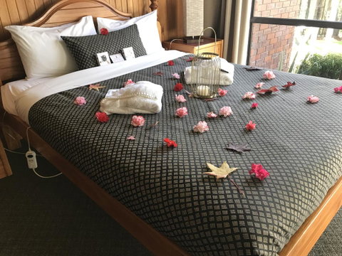 Forest Lodge Resort - Tweed Heads Accommodation 3