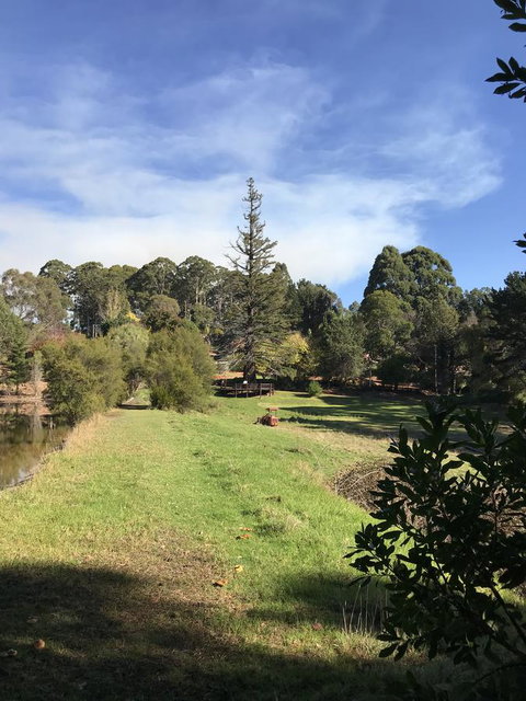 Forest Lodge Resort - Tweed Heads Accommodation 31