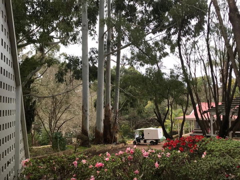 Forest Lodge Resort - Tweed Heads Accommodation 11