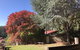 Forest Lodge Resort - thumb 42