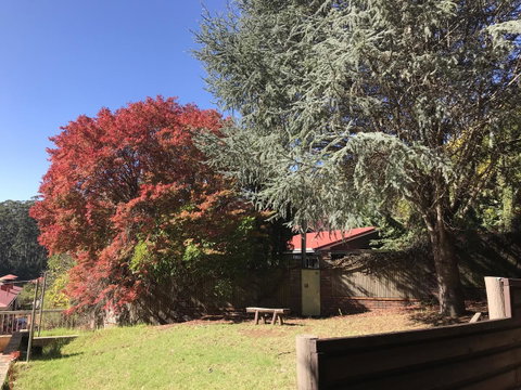 Forest Lodge Resort - Tweed Heads Accommodation 42