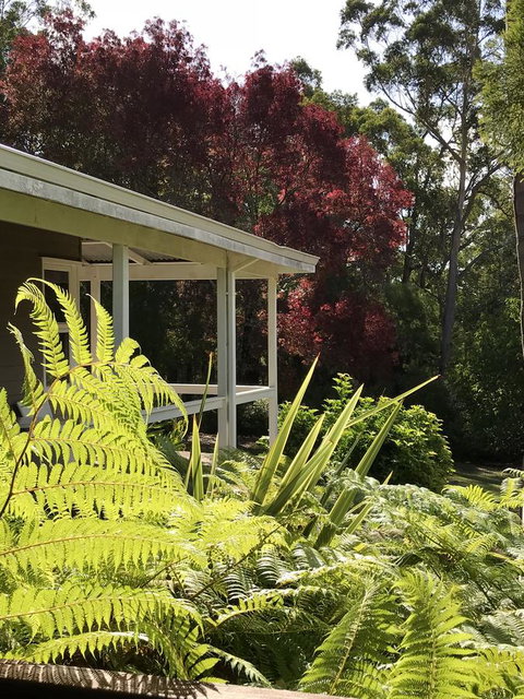 Forest Lodge Resort - Tweed Heads Accommodation 14