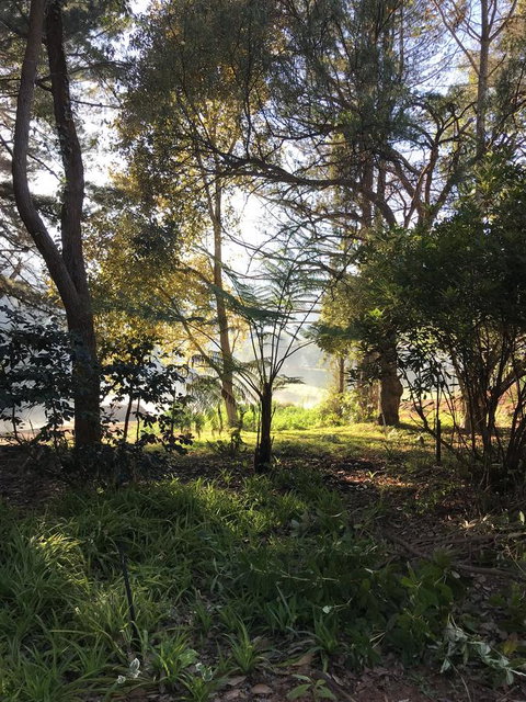 Forest Lodge Resort - Tweed Heads Accommodation 33