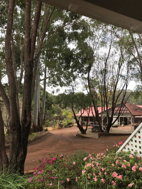 Forest Lodge Resort - Tweed Heads Accommodation 9