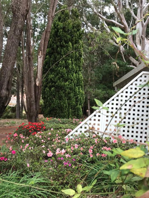 Forest Lodge Resort - Tweed Heads Accommodation 7