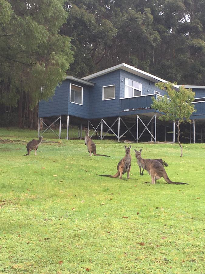  Tweed Heads Accommodation