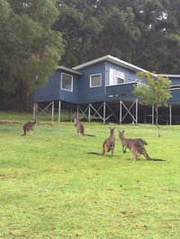 Book Denmark Accommodation Vacations Tweed Heads Accommodation Tweed Heads Accommodation