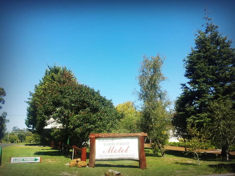 Karri Forest Motel - Tweed Heads Accommodation 29