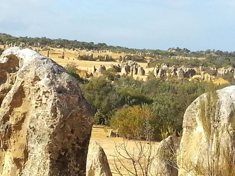 The Heights Bed & Breakfast - Tweed Heads Accommodation 5