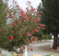 The Heights Bed  Breakfast - Tweed Heads Accommodation