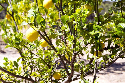 The Heights Bed & Breakfast - Tweed Heads Accommodation 17