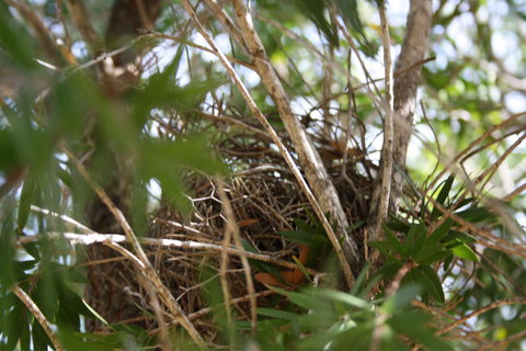 The Heights Bed & Breakfast - Tweed Heads Accommodation 7