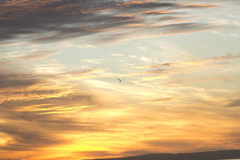 Amalfi Resort - Tweed Heads Accommodation 6