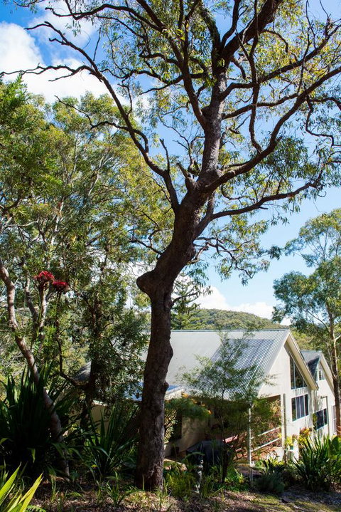 Nelson Bay Bed & Breakfast - Tweed Heads Accommodation 42