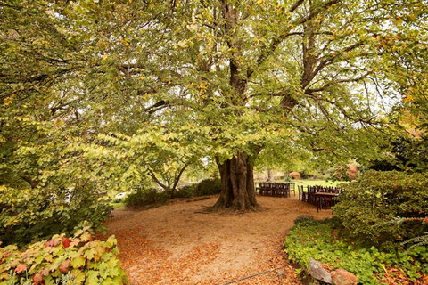 Nesuto Leura Gardens (formerly Waldorf Leura Gardens Resort) - Tweed Heads Accommodation 1