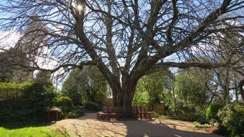 Nesuto Leura Gardens (formerly Waldorf Leura Gardens Resort) - Tweed Heads Accommodation 3