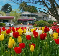 Nesuto Leura Gardens formerly Waldorf Leura Gardens Resort - Tweed Heads Accommodation
