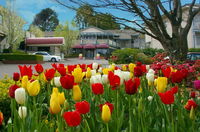 Book Leura Accommodation Vacations Tweed Heads Accommodation Tweed Heads Accommodation