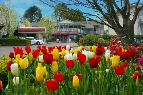 Nesuto Leura Gardens (formerly Waldorf Leura Gardens Resort) - Tweed Heads Accommodation 0