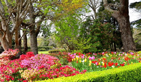 Nesuto Leura Gardens (formerly Waldorf Leura Gardens Resort) - Tweed Heads Accommodation 8