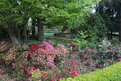 Nesuto Leura Gardens (formerly Waldorf Leura Gardens Resort) - Tweed Heads Accommodation 2