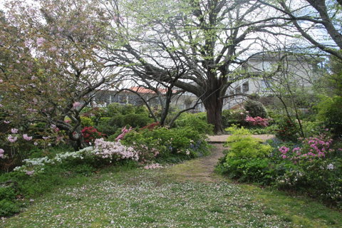 Nesuto Leura Gardens (formerly Waldorf Leura Gardens Resort) - Tweed Heads Accommodation 4