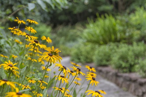 Nesuto Leura Gardens (formerly Waldorf Leura Gardens Resort) - Tweed Heads Accommodation 16