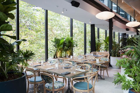 Vibe Hotel North Sydney - Tweed Heads Accommodation 4