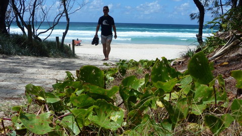 SaltBeach2302 - Tweed Heads Accommodation 15