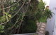Churchill View Forster - thumb 13