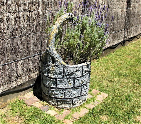 Apple Tree Cottage - Tweed Heads Accommodation 25