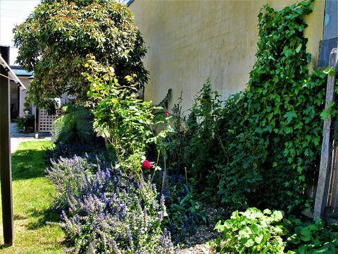 Apple Tree Cottage - Tweed Heads Accommodation 24