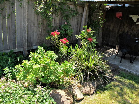 Apple Tree Cottage - Tweed Heads Accommodation 26