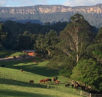 Amaroo Valley Springs - Tweed Heads Accommodation