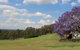 Wine Country Villas - thumb 34