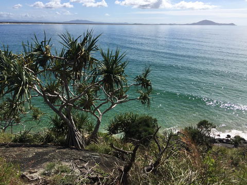 Hat Head Beach Cottage 1 - Tweed Heads Accommodation 23