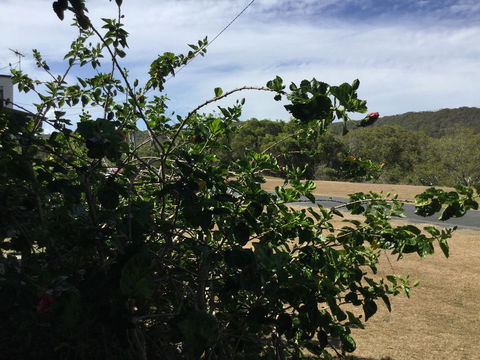 Hat Head Beach Cottage 1 - Tweed Heads Accommodation 2
