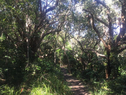 Hat Head Beach Cottage 1 - Tweed Heads Accommodation 24