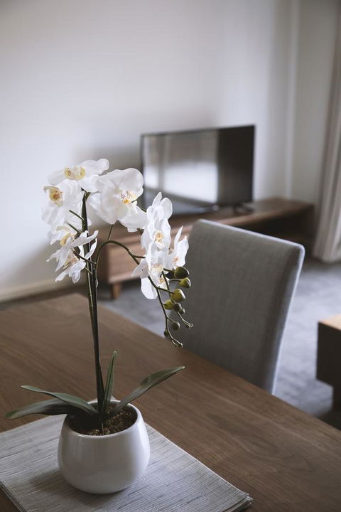 Quest Wagga Wagga - Tweed Heads Accommodation 11