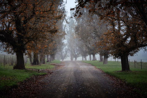 Bundanoon Country Inn Motel - Tweed Heads Accommodation 17